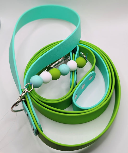 1 inch Wide Biothane Dog Leash - 6 Foot Green and Sea Foam Green