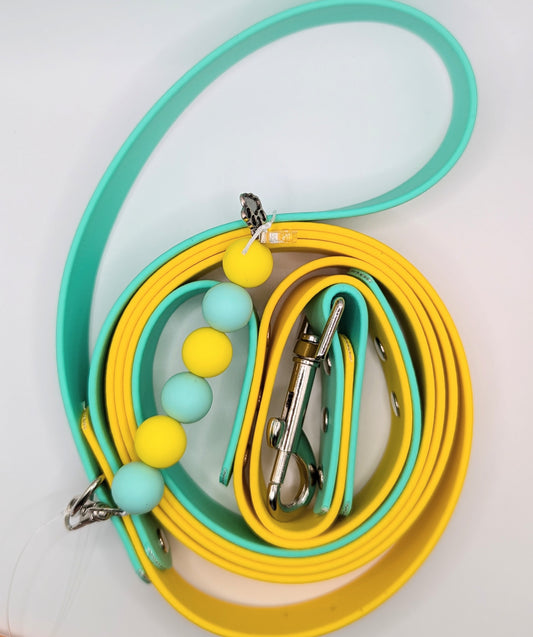 1 inch Wide Biothane Dog Leash - 6 Foot Yellow and Sea Foam Green
